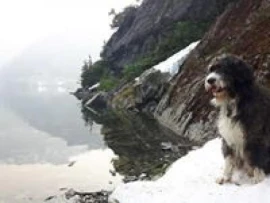 Photo of Blake Covert