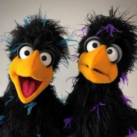 Photo of Dvs Will Bace