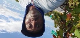 Photo of																	                   GR McGilberry