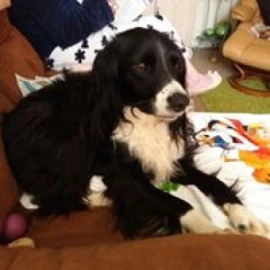 Photo of Hurst Stephen