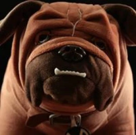 Photo of Kevin Fenix