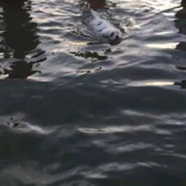 Photo of Marc Clarke