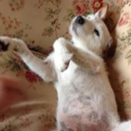 Photo of Robin Cartwright