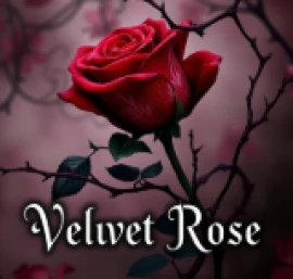Photo of Velvet Rose