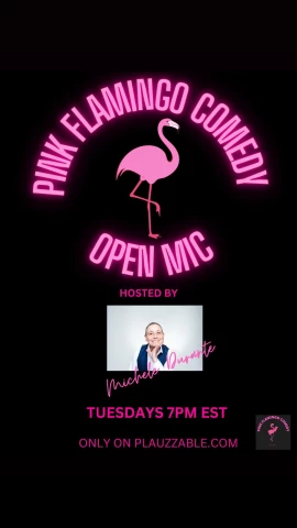 Pink Flamingo Comedy 