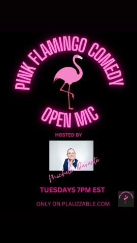 Pink Flamingo Comedy